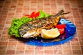 Whole griled dorada fish