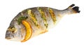 Whole Grilled Bream Fish