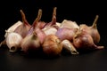 Whole group pile ingredient of fresh onion garlic isolated on black background Royalty Free Stock Photo