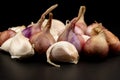 Whole group pile ingredient of fresh onion garlic isolated on black background Royalty Free Stock Photo