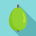 Whole guava icon, flat style