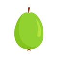 Whole guava icon, flat style