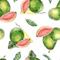 Whole guava and slices, leaves watercolor seamless pattern isolated on white. Tropical fruit, pink, yellow pulp guajava