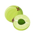 Whole and half amla. Vector flat color illustration