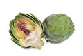 Whole and half artichoke isolated on white Royalty Free Stock Photo