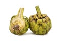 Whole and half artichoke on isolated white background Royalty Free Stock Photo