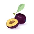 Whole and half blue plum with green leaf. Ripe fruits. Summer fruitage, tasty healthy snack.