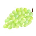 Whole and half bunch of grapes. Vector flat color illustration