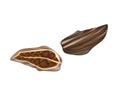 Whole and Half Cardamom Pods on White Background