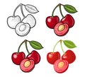 Whole and half cherry berry with leaf. Vector engraving and flat