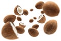 Whole and half cocoanuts levitate on a white background