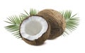 Whole and half coconut with leaves isolated on white background Royalty Free Stock Photo