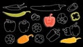Whole and half different peppers. Vegetarian healthy food. Hand drawn pepper line set. Hot chili and bell peppers sketch