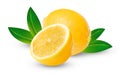 Whole and half fresh lemon with green leaves on a white isolated background. Royalty Free Stock Photo