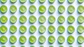Whole and half lime slices are arranged beautifully and isolated on a white background Royalty Free Stock Photo