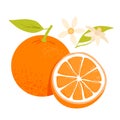 Whole and half orange fruit