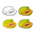 Whole and half papaya. Vector color vintage engraving