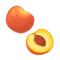 Whole and half peach with seed. Vector flat color