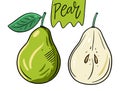 Whole and half pear. Hand drawn vector illustration in cartoon style. Isolated on white background Royalty Free Stock Photo