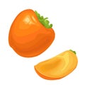 Whole and half persimmon. Vector flat color