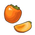 Whole and half persimmon. Vector vintage engraving color