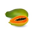 Whole and half of ripe papaya fruit with seeds Vector image isolated on white background Royalty Free Stock Photo