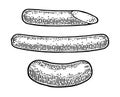 Whole and half sausage. Vintage vector engraving illustration