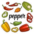 Whole, half , slice different types of pepper. Sweet bell, chilli, habanero and jalapeno. Vector vintage engraving