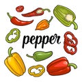 Whole, half , slice different types of pepper. Sweet bell, chilli, habanero and jalapeno. Vector vintage engraving