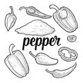 Whole, half , slice different types of pepper. Sweet bell, chilli, habanero and jalapeno. Vector vintage engraving