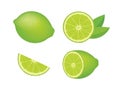 Fresh juicy lime citrus fruit icon set vector isolated on a white background Royalty Free Stock Photo