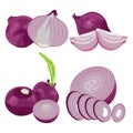 Whole, half and sliced red onions Royalty Free Stock Photo