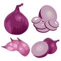 Whole, half and sliced red onions Vector cartoon Royalty Free Stock Photo