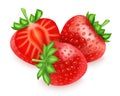 Whole and half strawberry. Realistic berries composition. Healthy natural food. Delicious raw fresh berry, organic