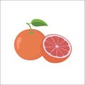 Whole and half unpeeled ripe pink grapefruit, sketch style Royalty Free Stock Photo