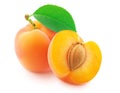 Whole and halved apricot fruit with green leaf on white background