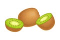 Whole and Halved Kiwifruit or Kiwi as Edible Berry with Fibrous Brown Skin and Green Flesh Vector Illustration