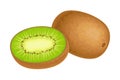 Whole and Halved Kiwifruit or Kiwi as Edible Berry with Fibrous Brown Skin and Green Flesh Vector Illustration