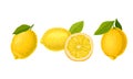 Whole and Halved Lemon Citrus Fruit with Green Leaf Vector Set Royalty Free Stock Photo