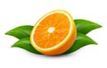 Whole and halved oranges. Clipping paths for both objects and shadows. Infinite depth of field Royalty Free Stock Photo