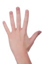 The whole hand Royalty Free Stock Photo