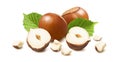 Hazelnuts in nutshell with small broken pieces and leaves