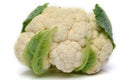 Whole head of the fresh raw cauliflower with some leaves close-up on a white background Royalty Free Stock Photo