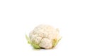 Whole head of fresh white raw cauliflower with leaves close-up on white background. Isolated on white background Royalty Free Stock Photo