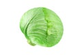 Whole head of green leafy cabbage on white background isolated close up, round ripe white headed cabbage, fresh vegetable design Royalty Free Stock Photo