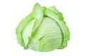 Whole head of green leafy cabbage on white background isolated close up, round ripe white headed cabbage with open leaves Royalty Free Stock Photo