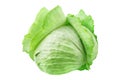 Whole head of green leafy cabbage on white background isolated close up, round ripe white headed cabbage with open leaves Royalty Free Stock Photo