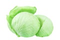 Whole head of green leafy cabbage on white background isolated close up, round ripe white headed cabbage with open leaves