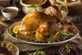 Whole Homemade Thanksgiving Turkey Royalty Free Stock Photo