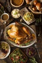 Whole Homemade Thanksgiving Turkey Royalty Free Stock Photo